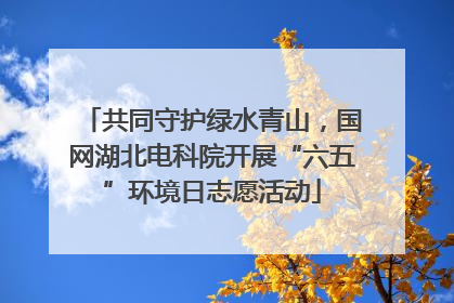 共同守护绿水青山，国网湖北电科院开展“六五”环境日志愿活动