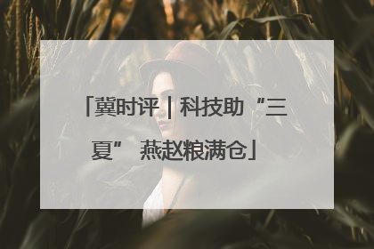 冀时评｜科技助“三夏” 燕赵粮满仓