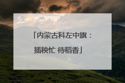 内蒙古科左中旗：插秧忙 待稻香