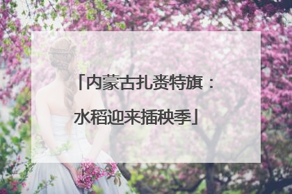内蒙古扎赉特旗：水稻迎来插秧季