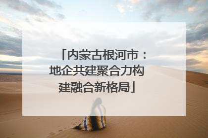 内蒙古根河市：地企共建聚合力构建融合新格局