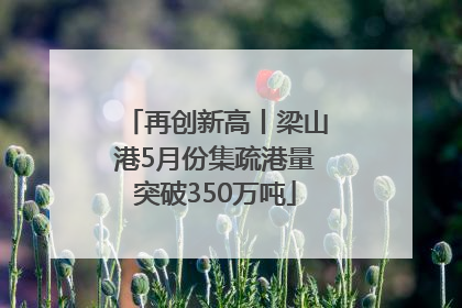 再创新高丨梁山港5月份集疏港量突破350万吨