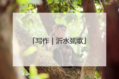 写作｜沂水弦歌