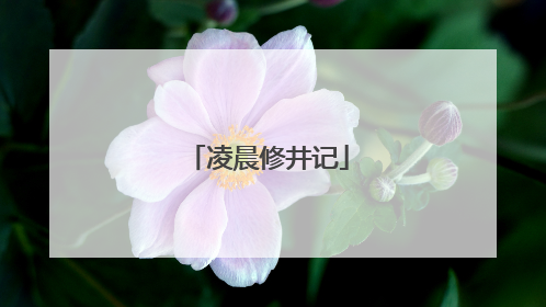 凌晨修井记