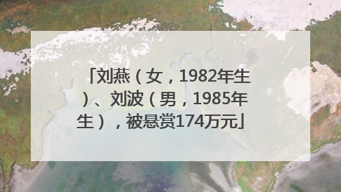 刘燕（女，1982年生）、刘波（男，1985年生），被悬赏174万元