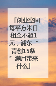 创业空间每平方米日租金不超1元，浦东“青创15条”满月带来什么