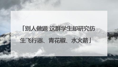 别人做题 这群学生却研究仿生飞行器、青花椒、水火箭