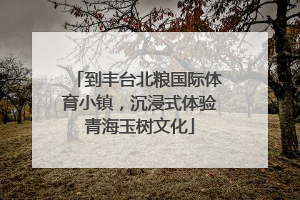 到丰台北粮国际体育小镇，沉浸式体验青海玉树文化
