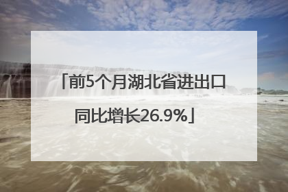 前5个月湖北省进出口同比增长26.9%