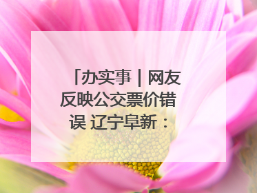 办实事｜网友反映公交票价错误 辽宁阜新：及时核查更正 加强实时巡检