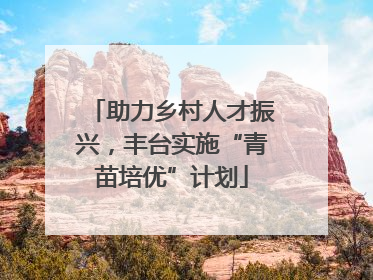 助力乡村人才振兴，丰台实施“青苗培优”计划