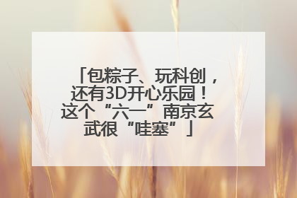 包粽子、玩科创，还有3D开心乐园！这个“六一”南京玄武很“哇塞”