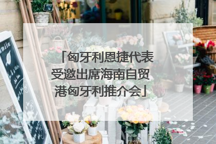 匈牙利恩捷代表受邀出席海南自贸港匈牙利推介会
