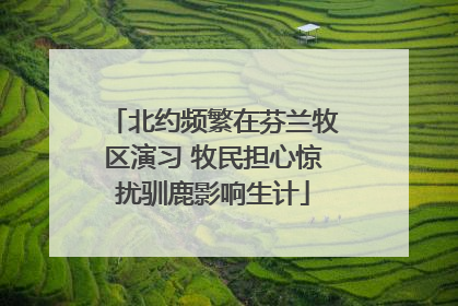 北约频繁在芬兰牧区演习 牧民担心惊扰驯鹿影响生计