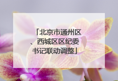 北京市通州区、西城区区纪委书记联动调整