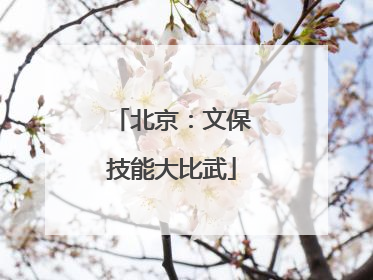 北京：文保技能大比武