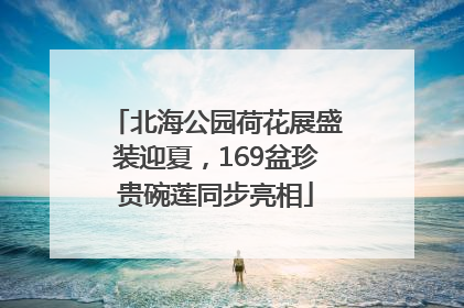 北海公园荷花展盛装迎夏，169盆珍贵碗莲同步亮相