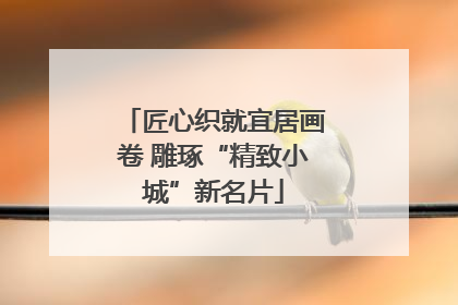 匠心织就宜居画卷 雕琢“精致小城”新名片