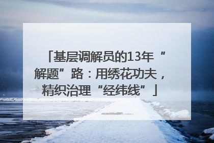 基层调解员的13年“解题”路：用绣花功夫，精织治理“经纬线”