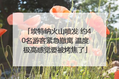 埃特纳火山喷发 约40名游客紧急撤离 温度极高感觉要被烤焦了