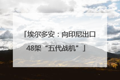 埃尔多安：向印尼出口48架“五代战机”