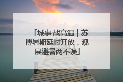 城事·战高温｜苏博暑期延时开放，观展避暑两不误