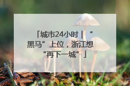 城市24小时｜“黑马”上位，浙江想“再下一城”