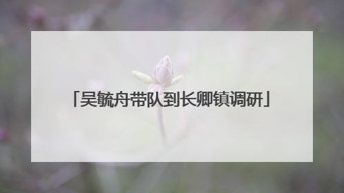 吴毓舟带队到长卿镇调研