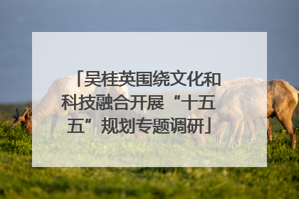 吴桂英围绕文化和科技融合开展“十五五”规划专题调研