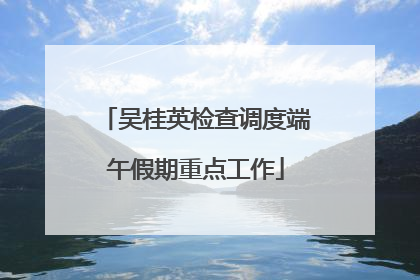 吴桂英检查调度端午假期重点工作