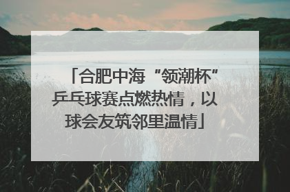 合肥中海“领潮杯”乒乓球赛点燃热情，以球会友筑邻里温情