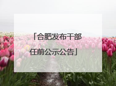 合肥发布干部任前公示公告