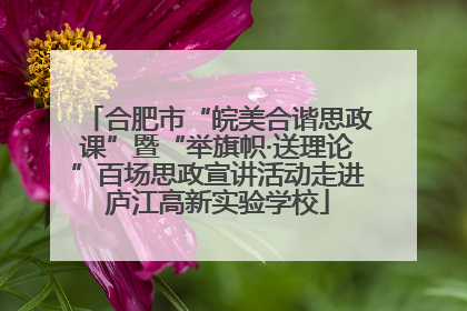 合肥市“皖美合谐思政课”暨“举旗帜·送理论”百场思政宣讲活动走进庐江高新实验学校