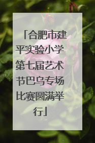合肥市建平实验小学第七届艺术节巴乌专场比赛圆满举行
