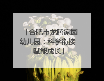 合肥市龙腾家园幼儿园：科学衔接 赋能成长