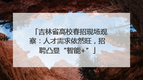 吉林省高校春招现场观察：人才需求依然旺，招聘凸显“智能+”