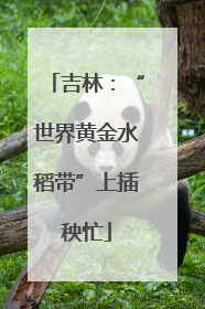 吉林：“世界黄金水稻带”上插秧忙