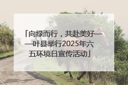 向绿而行，共赴美好——叶县举行2025年六五环境日宣传活动