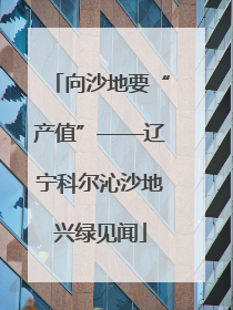 向沙地要“产值”——辽宁科尔沁沙地兴绿见闻