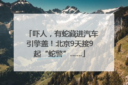 吓人，有蛇藏进汽车引擎盖！北京9天接9起“蛇警”……
