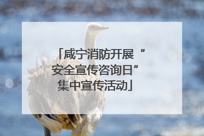 咸宁消防开展“安全宣传咨询日”集中宣传活动