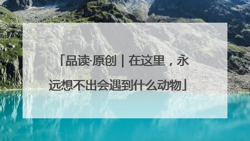 品读·原创｜在这里，永远想不出会遇到什么动物