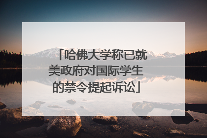 哈佛大学称已就美政府对国际学生的禁令提起诉讼