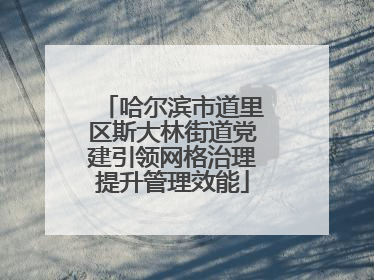 哈尔滨市道里区斯大林街道党建引领网格治理提升管理效能