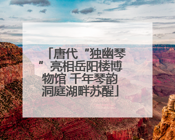 唐代“独幽琴”亮相岳阳楼博物馆 千年琴韵洞庭湖畔苏醒