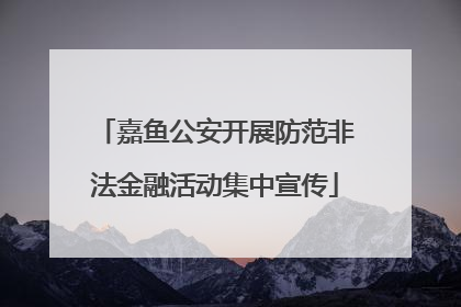嘉鱼公安开展防范非法金融活动集中宣传