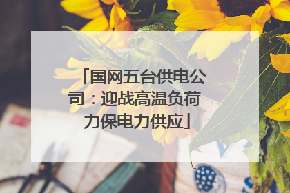 国网五台供电公司：迎战高温负荷 力保电力供应