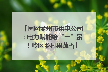 国网孟州市供电公司：电力赋能绘“丰”景！岭区乡村果蔬香
