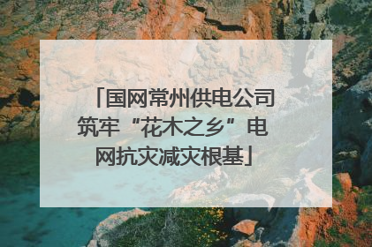 国网常州供电公司筑牢“花木之乡”电网抗灾减灾根基