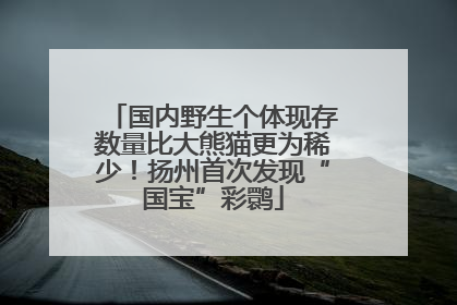 国内野生个体现存数量比大熊猫更为稀少！扬州首次发现“国宝”彩鹮